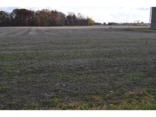 Property photo 66 - 127 Acres Offered in 8 Tracts - Allen & Dekalb County Land